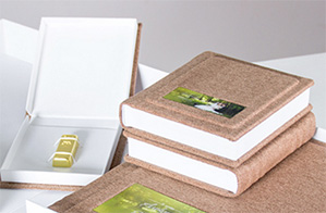 Box for a flash memory card